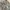 3D cargo pant ultility photo 6