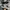 New Balance 237 Vintage Grey photo 2