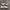 Adidas Casual Sneakers Pria gray photo 2
