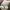 Adidas Casual Sneakers Pria gray photo 6