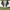 nike air jordan photo 7
