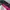 YONEX Jacket Sportwear Three Colors  Wanita photo 5