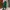 Marni x Uniqlo Green Corduroy High Waist Pleated Trousers photo 2