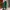 Marni X Uniqlo Green Corduroy High Waist Pleated Trousers