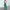 Marni x Uniqlo Green Corduroy High Waist Pleated Trousers photo 1