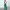 Marni X Uniqlo Green Corduroy High Waist Pleated Trousers