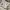 t shirt adidas descente big logo photo 7