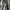 Burberry Trousers