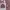Nike Sweater Crewneck Bordir Logo photo 6