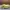 Adidas Yezzi Boost 350 V2 Creamy White  photo 4