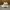 Adidas Yezzi Boost 350 V2 Creamy White  photo 1