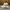 Adidas Yezzi Boost 350 V2 Creamy White 