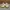 Adidas Yezzi Boost 350 V2 Creamy White  photo 3