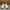 Adidas Yezzi Boost 350 V2 Creamy White 