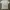 kaos world of haru size large used good condition original photo 4