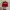 ARKANSAS RAZORBACKS VINTAGE HAT