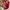 ARKANSAS RAZORBACKS VINTAGE HAT photo 4