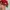 ARKANSAS RAZORBACKS VINTAGE HAT photo 3
