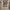 Jersey PSG 2015 Player Issue  photo 2