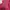 Kaos Pink Surf the Earth photo 3