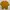 Stradivarius Yellow Shirt photo 1