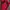 JAKET REUSCH WINDBRAKER ART BORDIR DALEMAN INER HIDEN HOODIE photo 7