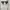 Sunglasses  photo 3