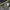 Coogi Jeans Short photo 7