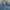 Rodeo Crown Denim Blue Colour Trucker Jacket Full Emboss photo 6