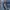 Rodeo Crown Denim Blue Colour Trucker Jacket Full Emboss photo 10