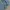 Rodeo Crown Denim Blue Colour Trucker Jacket Full Emboss photo 5