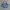 Rodeo Crown Denim Blue Colour Trucker Jacket Full Emboss photo 1