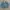 Rodeo Crown Denim Blue Colour Trucker Jacket Full Emboss photo 4