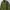 Parka Modelan M65 Field Jakcet Military Design United photo 3