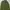 Parka Modelan M65 Field Jakcet Military Design United photo 2