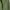 Parka Modelan M65 Field Jakcet Military Design United photo 5