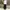 BALLON PANTS CHINO BLACK - GOOD LIFE WORKS photo 1