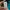Big Logo Adidas Jersey Boxy Black & Green Tosca Colour (Cake photo 8