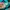 Big Logo Adidas Jersey Boxy Black & Green Tosca Colour (Cake photo 9