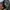 Parka army military style M65 Field Jacket By UNO photo 4