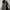 Parka army military style M65 Field Jacket By UNO photo 2