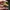 lego mf minifigure ninjago photo 1