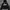 HOODIE ZIP CHMB FOREVER photo 1