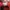 Adidas ZX700 photo 6