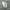 Adidas Cloudfoam  photo 2