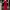 Minimalist Bodycon Dress Wanita Red