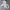 2000's Heavyweight Gray Hoodie Cropped Boxy photo 4
