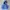 Russell Athletic Blue Hoodie Boxy