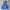 Russell Athletic Blue Hoodie Boxy photo 6