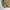 Yves Saint Laurent YSL Streetwear Avant Garde Windbreaker Pria cream photo 4